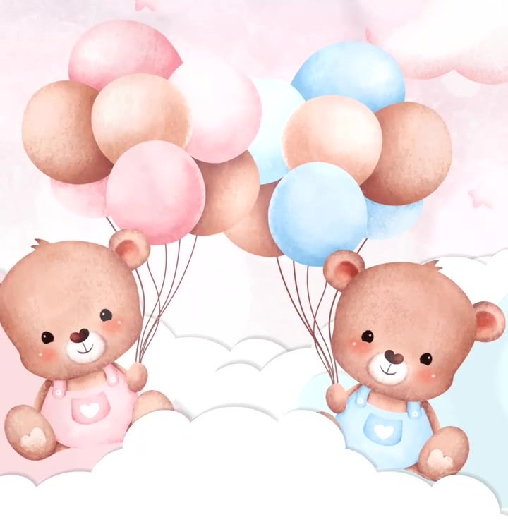Dos ositos con globos rosas y azules